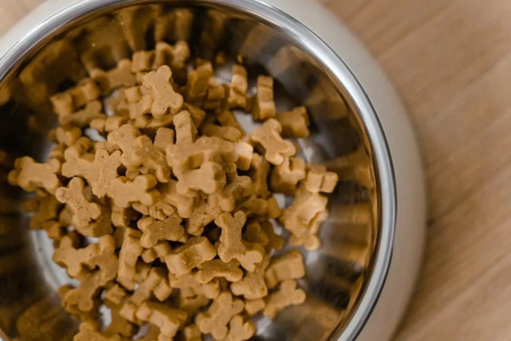 5 mitos da alimentação dos pets