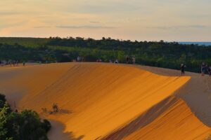 Ideias de viagem para desconectar e aproveitar a natureza