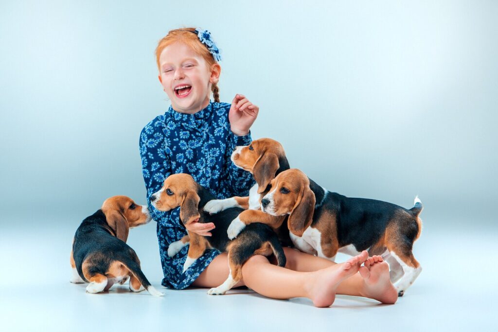 O que as criancas podem aprender convivendo com animais